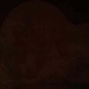 Meet your Posher, Luna